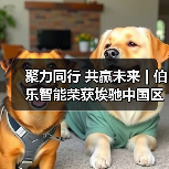聚力同行 共赢未来 | 伯乐智能荣获埃驰中国区2023年度优秀供应商（图4）
