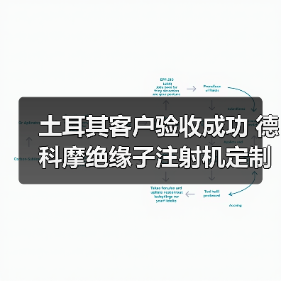 土耳其客户验收成功 德科摩绝缘子注射机定制方案再升级（图2）
