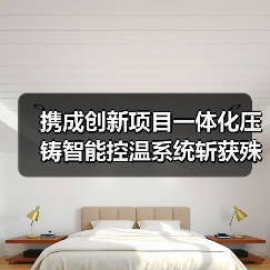 携成创新项目一体化压铸智能控温系统斩获殊荣(图3) 携成创新项目一体化压铸智能控温系统斩获殊荣(图3)