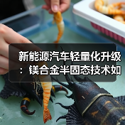 新能源汽车轻量化升级:镁合金半固态技术如何推动行业革新?(图3) 新能源汽车轻量化升级:镁合金半固态技术如何推动行业革新?(图3)