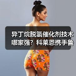 异丁烷脱氢催化剂技术哪家强?科莱恩携手鲁姆斯助惠州博科打造高能效工厂(图4) 异丁烷脱氢催化剂技术哪家强?科莱恩携手鲁姆斯助惠州博科打造高能效工厂(图4)