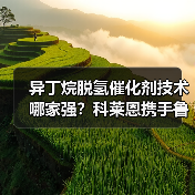 异丁烷脱氢催化剂技术哪家强?科莱恩携手鲁姆斯助惠州博科打造高能效工厂(图3) 异丁烷脱氢催化剂技术哪家强?科莱恩携手鲁姆斯助惠州博科打造高能效工厂(图3)