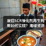 废旧SCR催化剂再生利用如何实现?海螺资源项目试产成功(图2) 废旧SCR催化剂再生利用如何实现?海螺资源项目试产成功(图2)