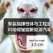 聚氨酯弹性体与工程塑料如何赋能新能源汽车NVH创新(图4) 聚氨酯弹性体与工程塑料如何赋能新能源汽车NVH创新(图4)