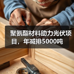 聚氨酯材料助力光伏项目,年减排5000吨(图2) 聚氨酯材料助力光伏项目,年减排5000吨(图2)