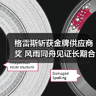 格雷斯斩获金牌供应商奖 风雨同舟见证长期合作（图4）