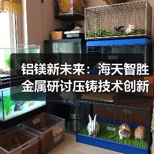 铝镁新未来：海天智胜金属研讨压铸技术创新，开启行业升级之路（图4）