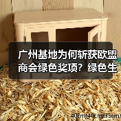 广州基地为何斩获欧盟商会绿色奖项？绿色生产如何引领行业变革？（图1）