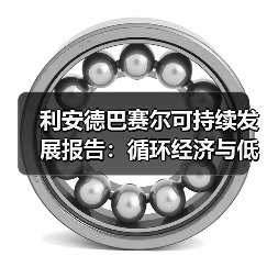 利安德巴赛尔可持续发展报告:循环经济与低碳转型突破(图2) 利安德巴赛尔可持续发展报告:循环经济与低碳转型突破(图2)