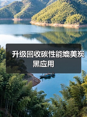 升级回收碳性能媲美炭黑应用(图2) 升级回收碳性能媲美炭黑应用(图2)