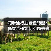润滑油行业绿色转型:低碳合作如何引领未来?(图3) 润滑油行业绿色转型:低碳合作如何引领未来?(图3)