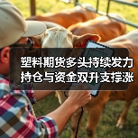 塑料期货多头持续发力 持仓与资金双升支撑涨势(图2) 塑料期货多头持续发力 持仓与资金双升支撑涨势(图2)