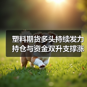 塑料期货多头持续发力 持仓与资金双升支撑涨势(图3) 塑料期货多头持续发力 持仓与资金双升支撑涨势(图3)