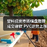 塑料现货市场横盘整理成交疲软 PVC逆势上涨引关注(图3) 塑料现货市场横盘整理成交疲软 PVC逆势上涨引关注(图3)