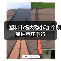 塑料市场大稳小动 个别品种承压下行(图4) 塑料市场大稳小动 个别品种承压下行(图4)