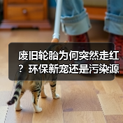 废旧轮胎为何突然走红?环保新宠还是污染源头?(图3) 废旧轮胎为何突然走红?环保新宠还是污染源头?(图3)
