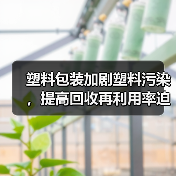 塑料包装加剧塑料污染,提高回收再利用率迫在眉睫(图1) 塑料包装加剧塑料污染,提高回收再利用率迫在眉睫(图1)