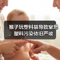 猴子玩塑料袋导致窒息,塑料污染依旧严峻(图4) 猴子玩塑料袋导致窒息,塑料污染依旧严峻(图4)