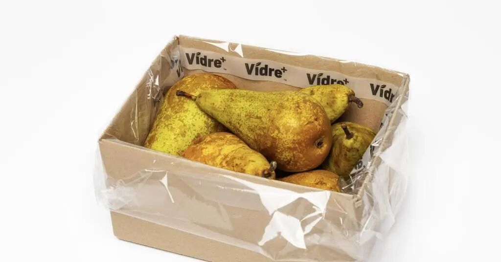 Fresh Inset活性包装解决方案重新定义水果包装功能边界(图1) Fresh Inset活性包装解决方案重新定义水果包装功能边界(图1)